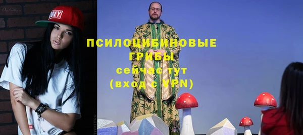 Альфа ПВП Алексин