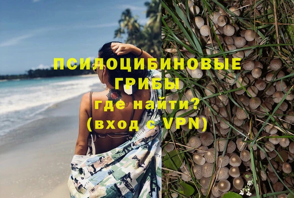 Альфа ПВП Алексин