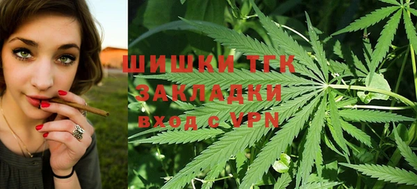 крисы Алзамай