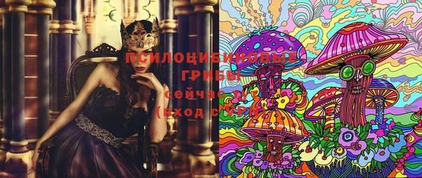 крисы Алзамай