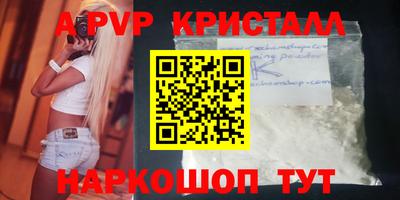 СК Кингисепп