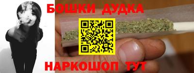 СК Кингисепп