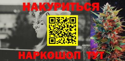 СК Кингисепп