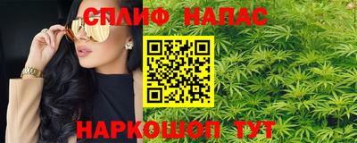 СК Кингисепп