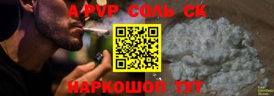 СК Кингисепп