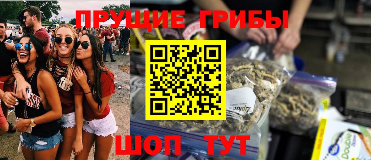 Псилоцибиновые грибы Psilocybine cubensis Минусинск